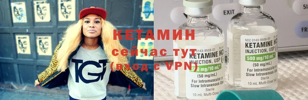 сатива Зеленокумск