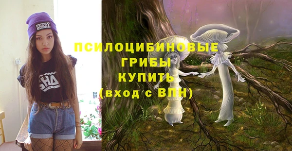 сатива Зеленокумск