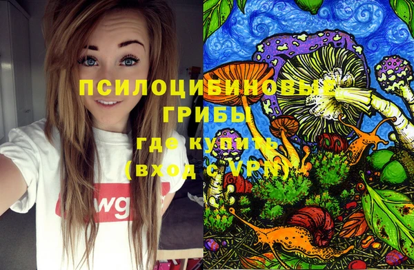 кокс Инта