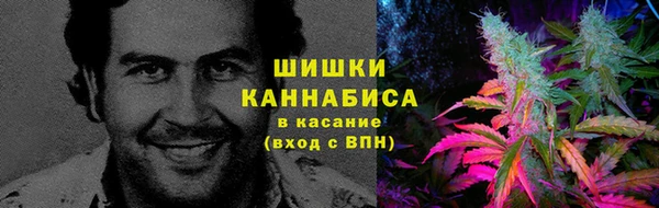 сатива Зеленокумск